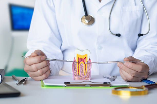 Best Dentist for Tooth Abscess  in Wheeler Af, HI
